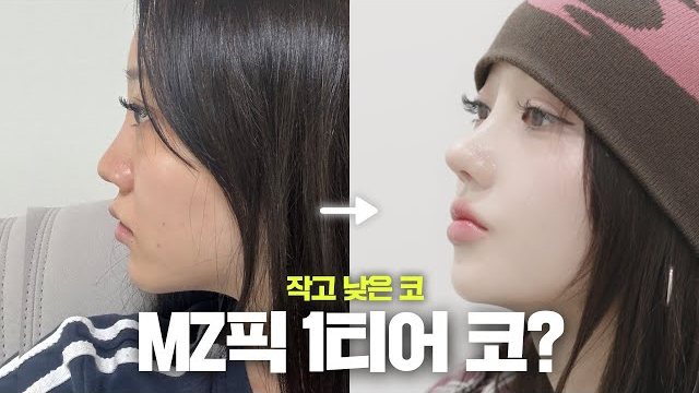 V LOG 썸네일 — 작고 낮은 코 MZ픽 1티어 코?