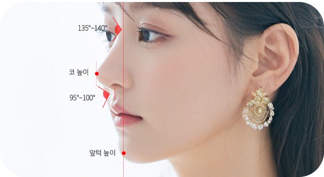 옆모습 여성 사진 위 코 각도 표시(135°~140°·코 높이·95°~100°·앞턱 높이)